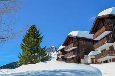 Vieux Valais Malisse im Winter