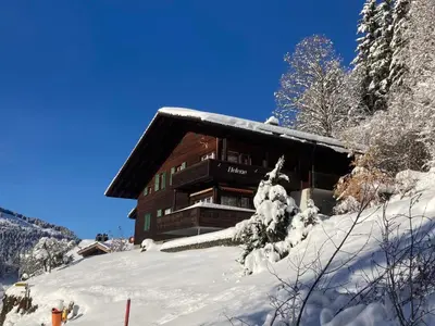Apartment Helene Apt Diana by Interhome im Winter