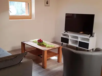 TV/Unterhaltungsangebot in der Unterkunft Apartment Lischa 3- OG Süd by Interhome