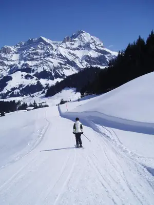 Hotel Des Alpes im Winter