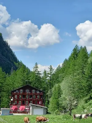 Naturlandschaft in der Nähe der Pension