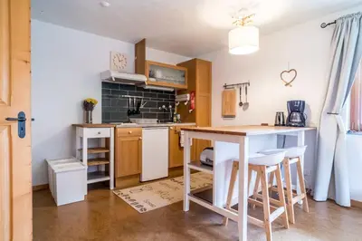 Küche/Küchenzeile in der Unterkunft Apartment Rybibach Retreat - GRIWA RENT AG