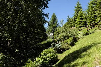 Naturlandschaft in der Nähe des Bed & Breakfasts