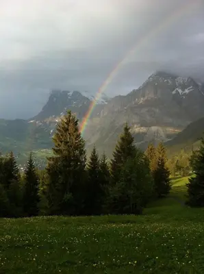 Naturlandschaft in der Nähe der Ferienwohnung