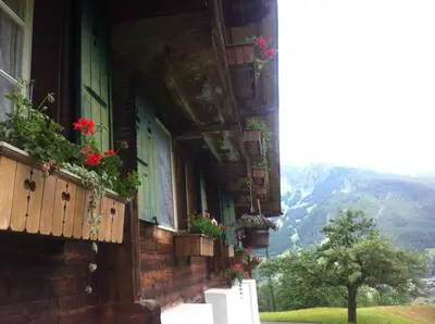 Ein allgemeiner Bergblick oder ein Berglick von der Ferienwohnung aus