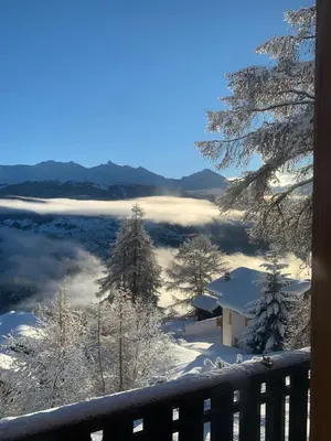 Grundriss der Unterkunft Appartement dans chalet