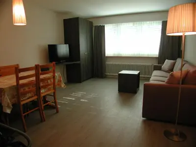 TV/Unterhaltungsangebot in der Unterkunft Brunegghorn 4