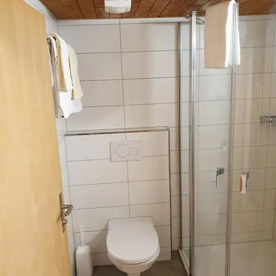 Ein Badezimmer in der Unterkunft WHITE HOME IN AESCHI BEI SPIEZ