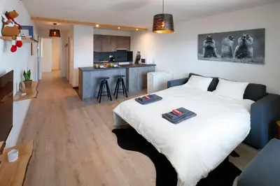 Ein Bett oder Betten in einem Zimmer der Unterkunft Magnifique appartement proche du centre et du ski