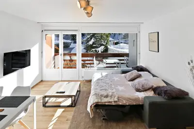 TV/Unterhaltungsangebot in der Unterkunft Appartement cosy et rénové au cœur de la station
