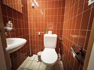 Ein Badezimmer in der Unterkunft Apartment Rosablanche-108 by Interhome