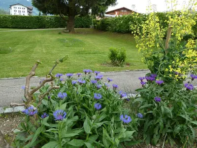 Ein Garten an der Unterkunft Hotel Restaurant Sunnmatt