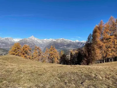 Naturlandschaft in der Nähe der Ferienwohnung