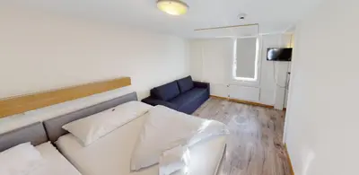 TV/Unterhaltungsangebot in der Unterkunft Boutique Hotel & Restaurant Bären Ringgenberg