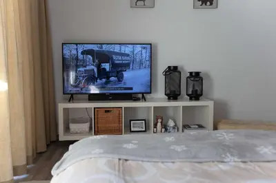 TV/Unterhaltungsangebot in der Unterkunft Grand Studio au centre de Crans