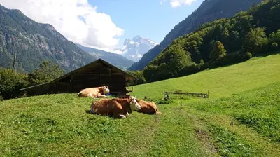 Naturlandschaft in der Nähe des Ferienhauses