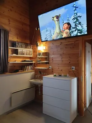 TV/Unterhaltungsangebot in der Unterkunft Tschuggen 4