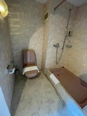 Ein Badezimmer in der Unterkunft Interlaken Apartment 25