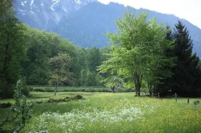 Naturlandschaft in der Nähe der Ferienwohnung
