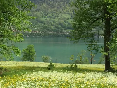 Naturlandschaft in der Nähe der Ferienwohnung