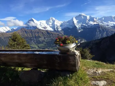 Naturlandschaft in der Nähe der Ferienwohnung