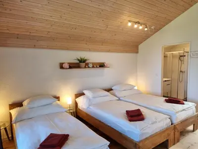 Ein Bett oder Betten in einem Zimmer der Unterkunft Seeparadiesli am schönen Thunersee