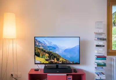 TV/Unterhaltungsangebot in der Unterkunft Chalet Monchsbuffel