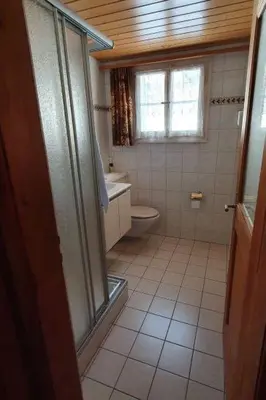 Ein Badezimmer in der Unterkunft Apartment Hübeli - Kopp by Interhome