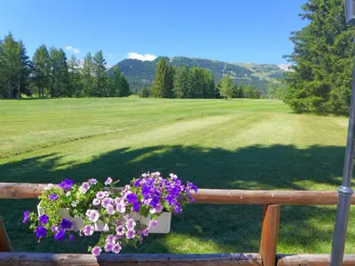 Ein allgemeiner Bergblick oder ein Berglick von der Ferienwohnung aus