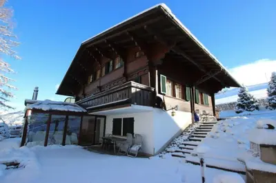 Chalet Finkenwiese im Winter