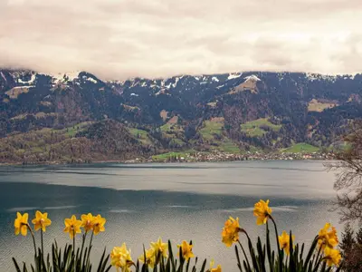 Naturlandschaft in der Nähe der Ferienwohnung