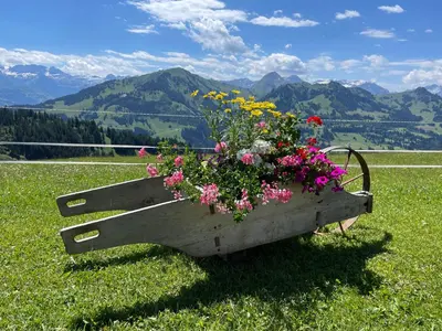 Ein allgemeiner Bergblick oder ein Berglick von der Ferienwohnung aus