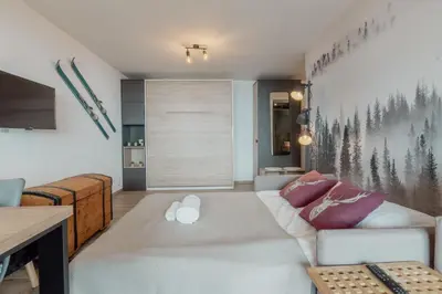 Ein Bett oder Betten in einem Zimmer der Unterkunft Studio rénové avec vue imprenable sur les Alpes