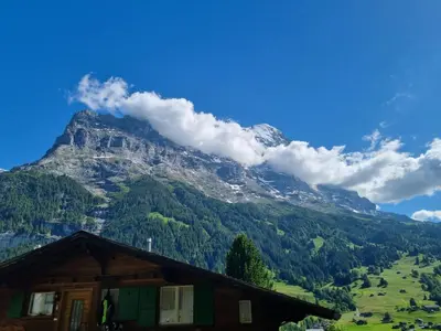 Naturlandschaft in der Nähe der Ferienwohnung