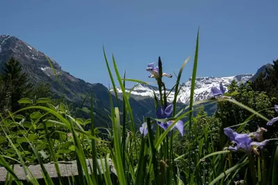 Naturlandschaft in der Nähe des Ferienhauses