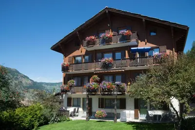 Ein allgemeiner Bergblick oder ein Berglick von der Ferienwohnung aus