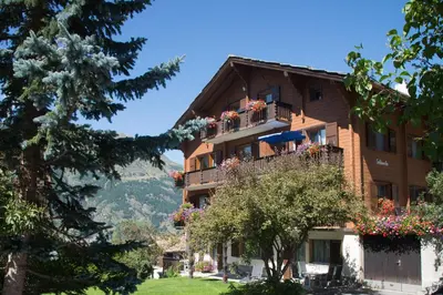 Ein allgemeiner Bergblick oder ein Berglick von der Ferienwohnung aus