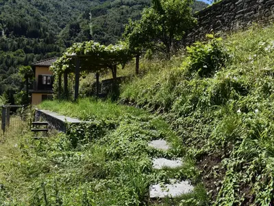 Naturlandschaft in der Nähe der Ferienwohnung