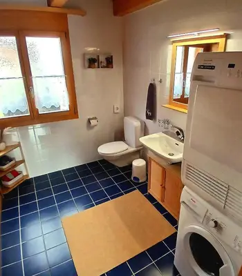 Ein Badezimmer in der Unterkunft Chalet Regenbogen Leukerbad mit Indoorrutschbahn