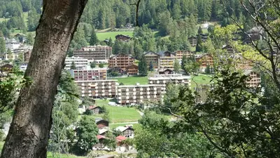 Naturlandschaft in der Nähe der Ferienwohnung