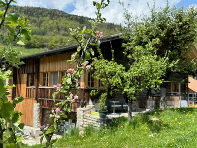 Ein allgemeiner Bergblick oder ein Berglick von der Ferienwohnung aus