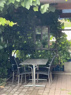 Ein Garten an der Unterkunft Check-in 24-7 ohne Frühstück gratis Parkplatz