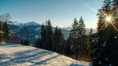 Naturlandschaft in der Nähe des Chalets