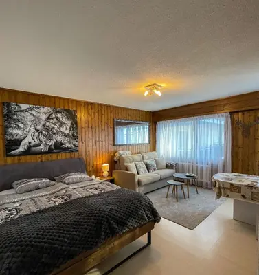 Ein Bett oder Betten in einem Zimmer der Unterkunft Jolie appart cozy, Ski in Ski out