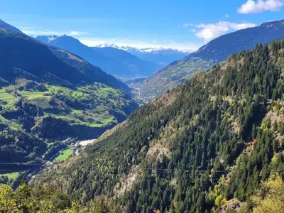 Grundriss der Unterkunft Alpine Chalet in Fieschertal