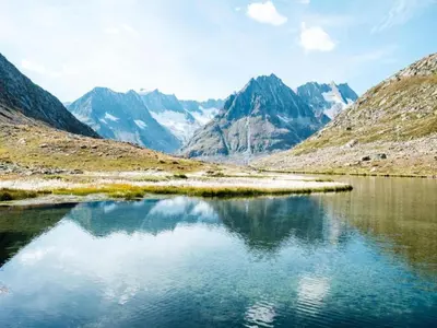 Grundriss der Unterkunft Alpine Chalet in Fieschertal