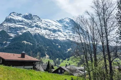 Naturlandschaft in der Nähe der Ferienwohnung