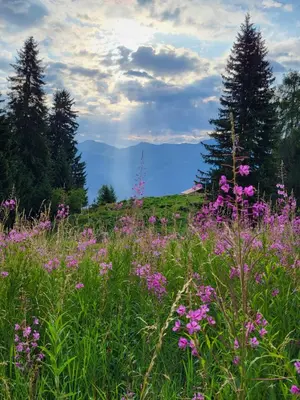 Naturlandschaft in der Nähe der Ferienwohnung