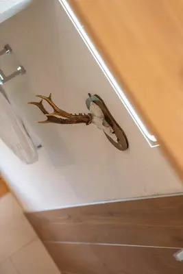 Ein Badezimmer in der Unterkunft Reste Fidèle Duplex