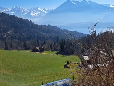 Naturlandschaft in der Nähe der Ferienwohnung